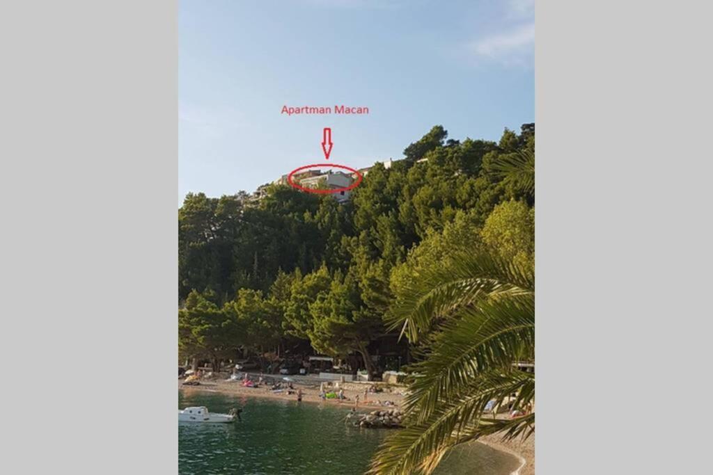 Apartman Macan 布雷拉 外观 照片